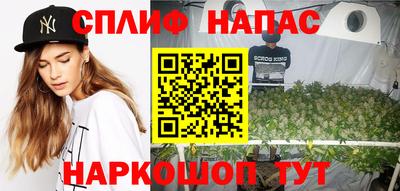 мдпв Ставрополь