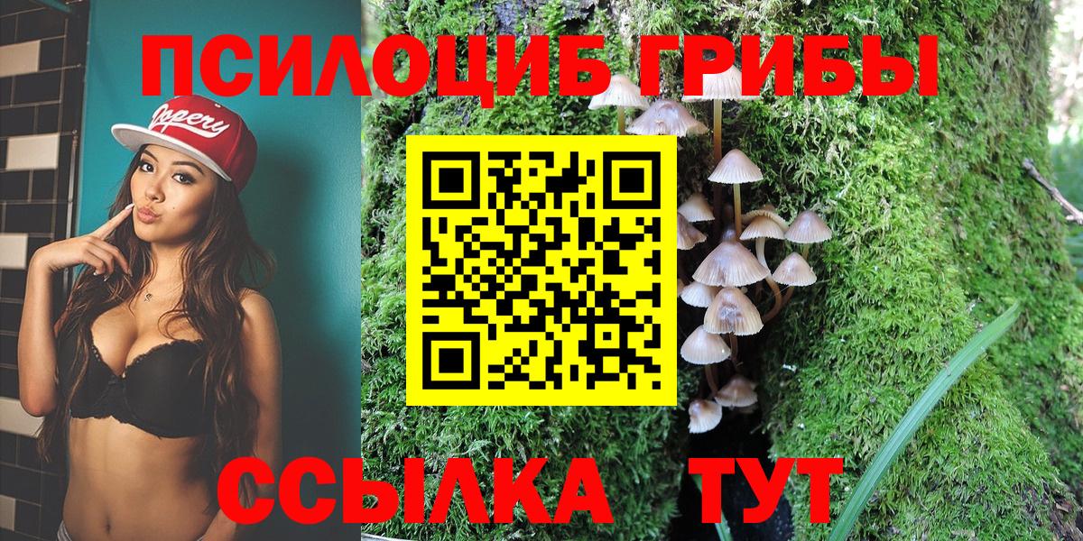 Псилоцибиновые грибы ЛСД Надым
