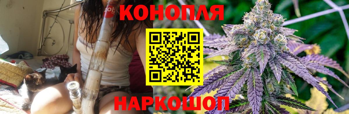 Бошки Шишки сатива Надым